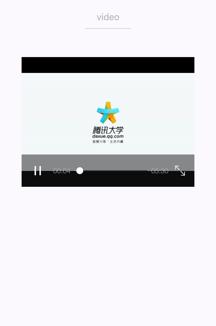 wxapp媒体组件 video